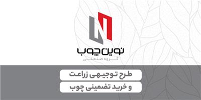 طرح توجیهی زراعت و خرید تضمینی چوب (از کشاورزان متقاضی)