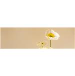 mdf-melamine-Odessa-Birke-536