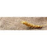 mdf-melamine-hasiry-753