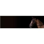 mdf-melamine-Sevila-Olive