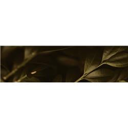 mdf-melamine-727