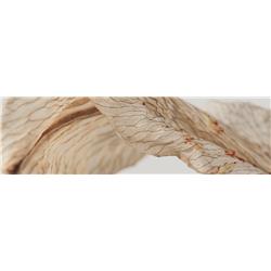 mdf-melamine-Bayaz-Mesh