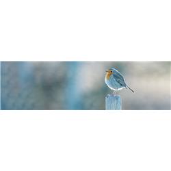 hpl-silver-106