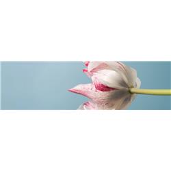 hpl-Carrara-Marble-137