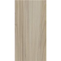 California Elm (AC3) _ 893
