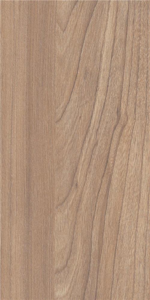 swiss elm light