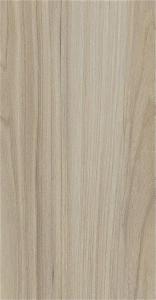 California Elm (AC3) _ 893