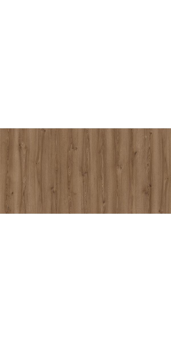 Canyon Eurasia Oak-3001