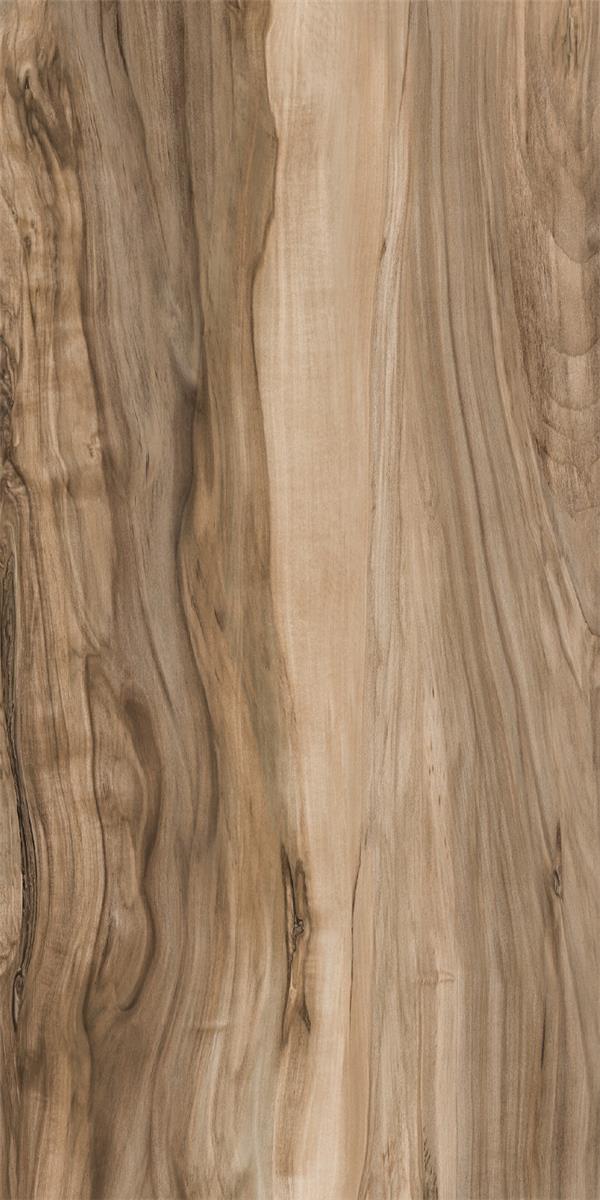 American Oak